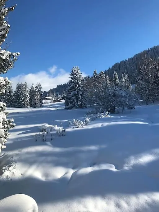 Lejlighed Tres Bel Appartement A Megève